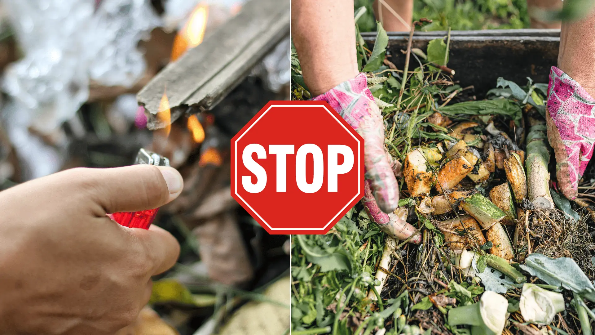 tráva, kompost, pokuta