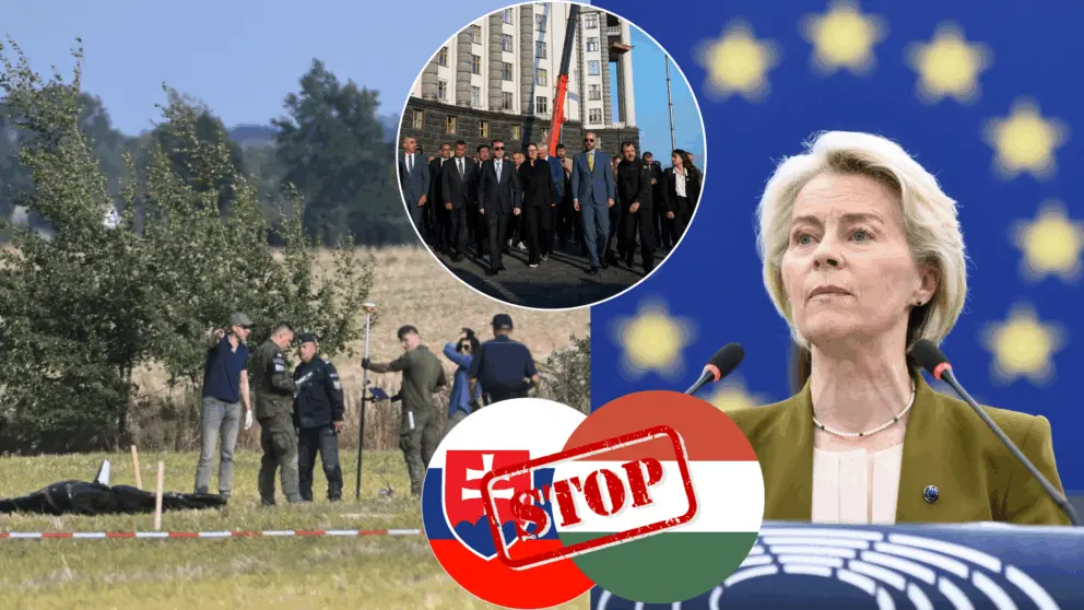 múr proti dronom, Slovensko, Maďarsko