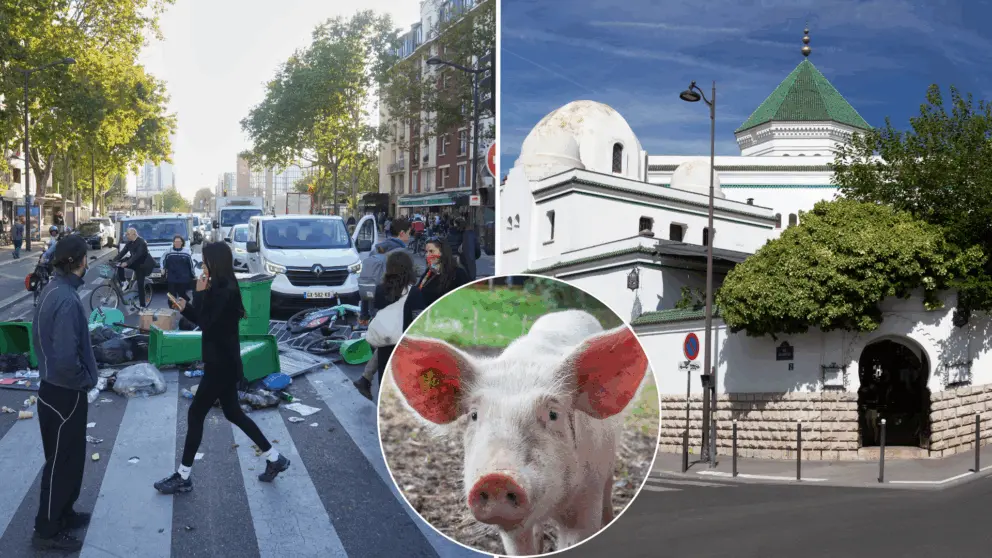 Paríž, Francúzsko, mešita, prasacie hlavy