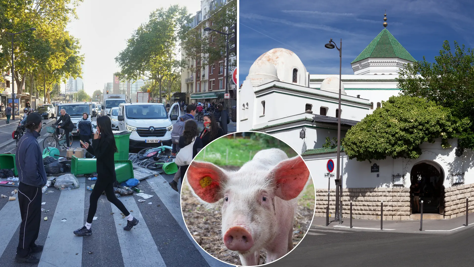 Paríž, Francúzsko, mešita, prasacie hlavy