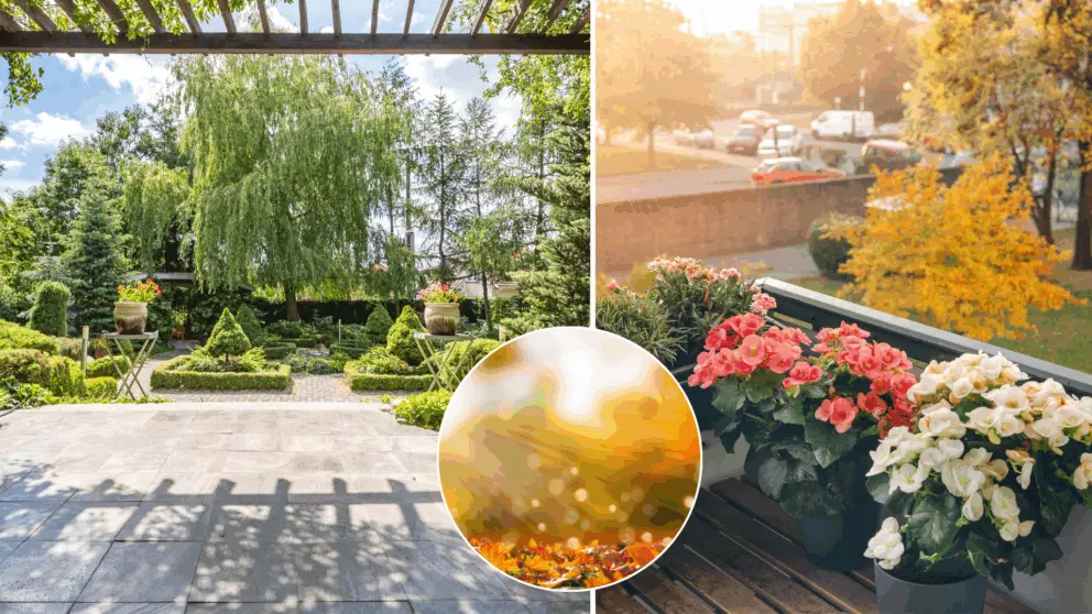 terasa, jeseň, chlad, sucho