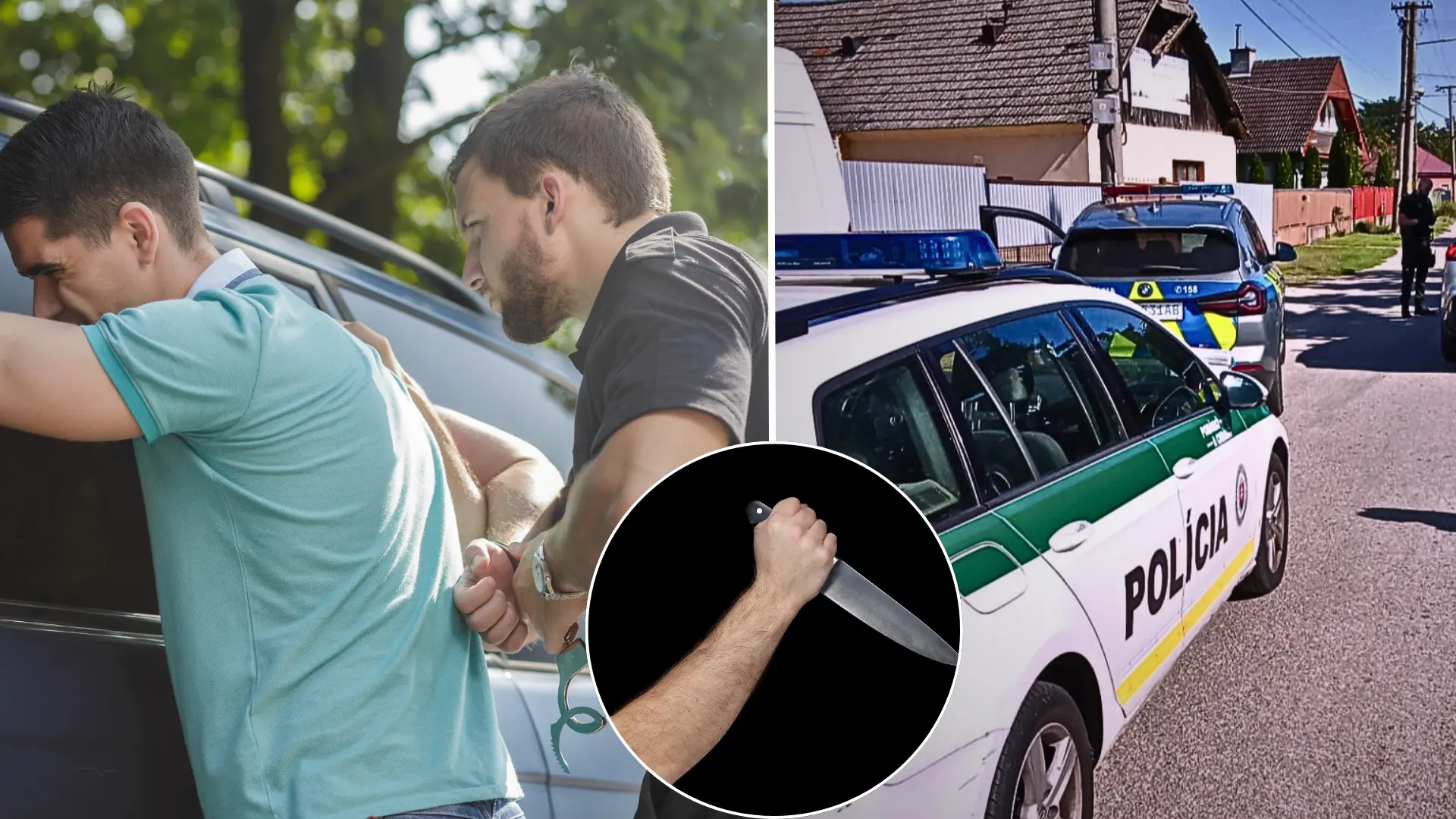 vražda, dobodanie, partneri