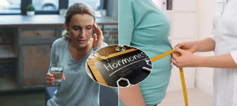 menopauza, hormóny, obezita