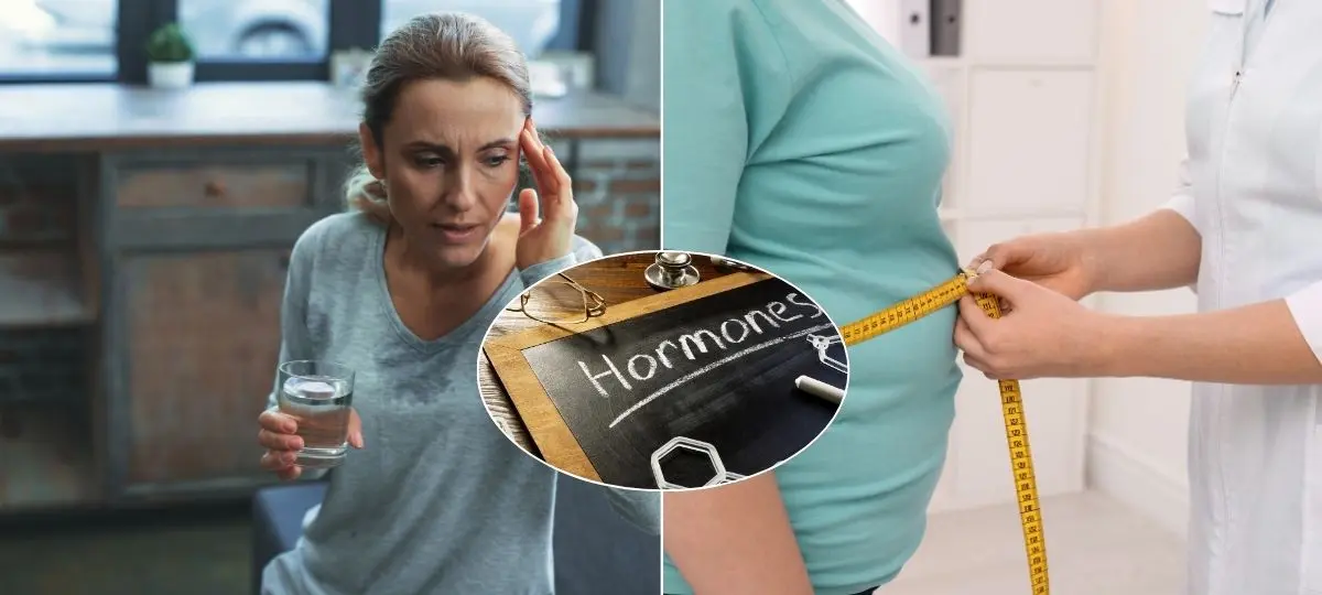 menopauza, hormóny, obezita
