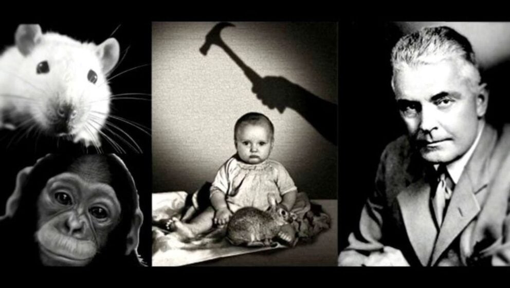 Najdesivejšie experimenty