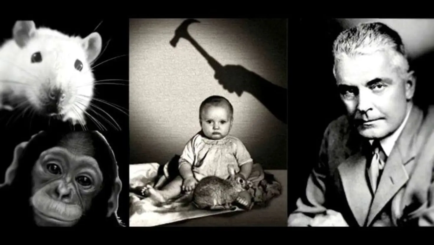 Najdesivejšie experimenty