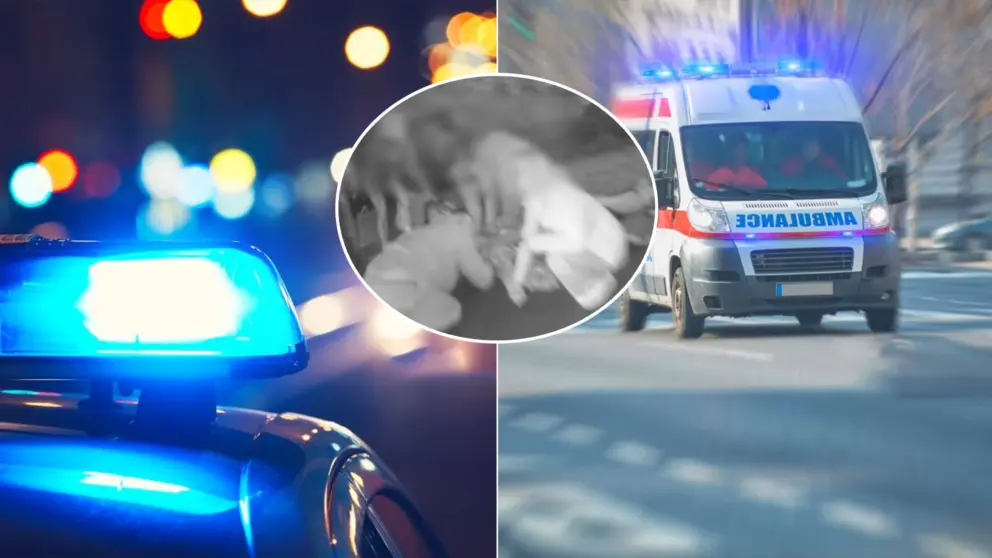 Česko sanitka zásah v Radějoviciach