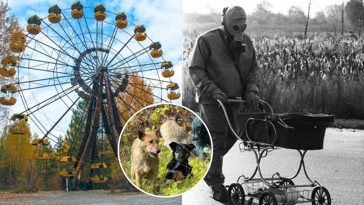 Mesto Pripiať je symbolom opusteného priestoru, ktorý pohltila príroda.