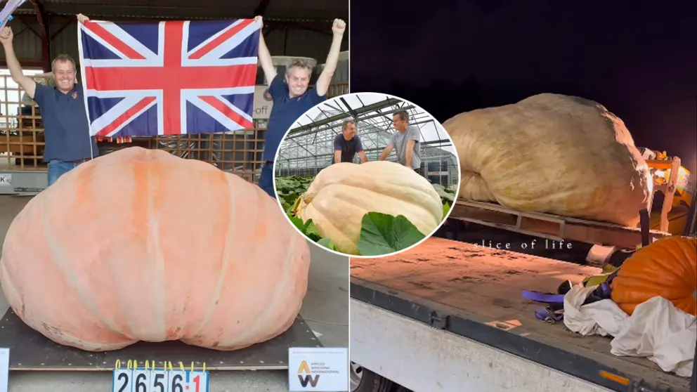 tekvica rekord Ian a Stuart Patonovci Británia