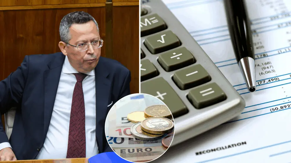 Kamenický, rozpočet