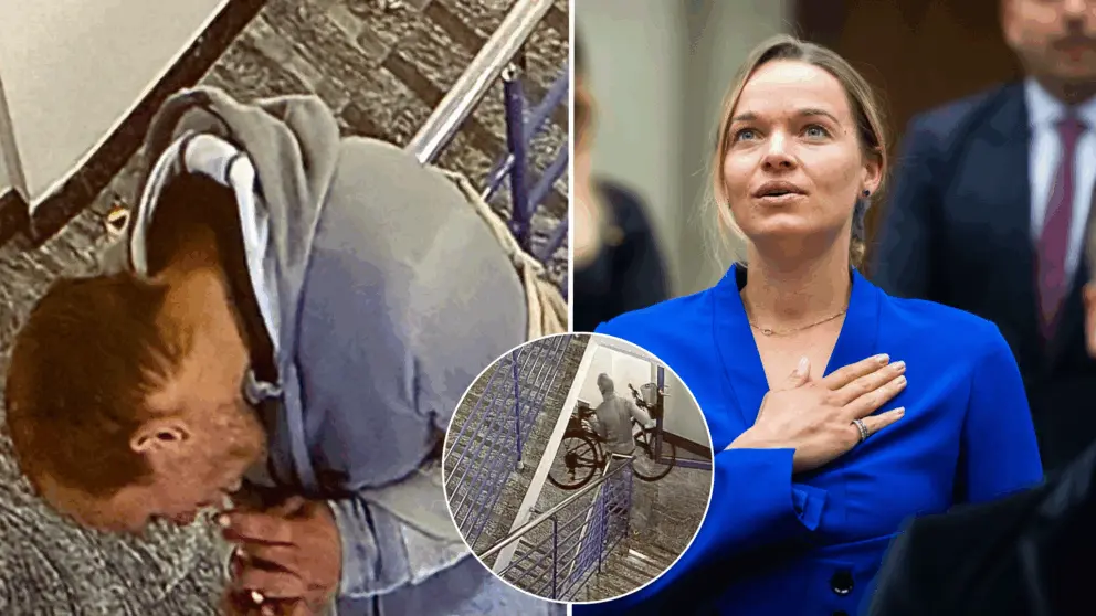 Romana Tabak, zlodej