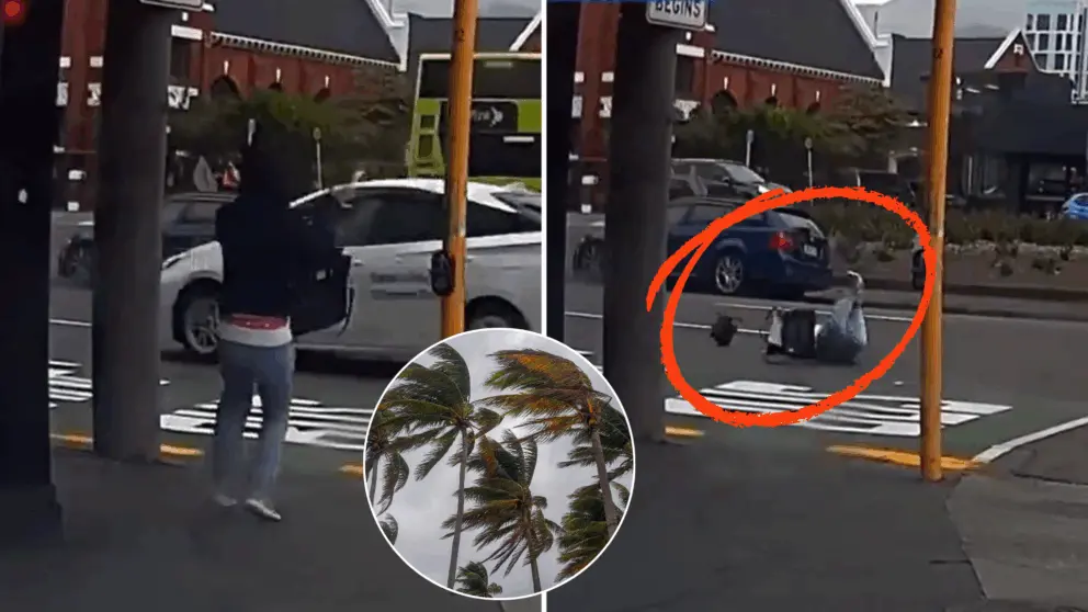 vietor, video, Nový Zéland, žena