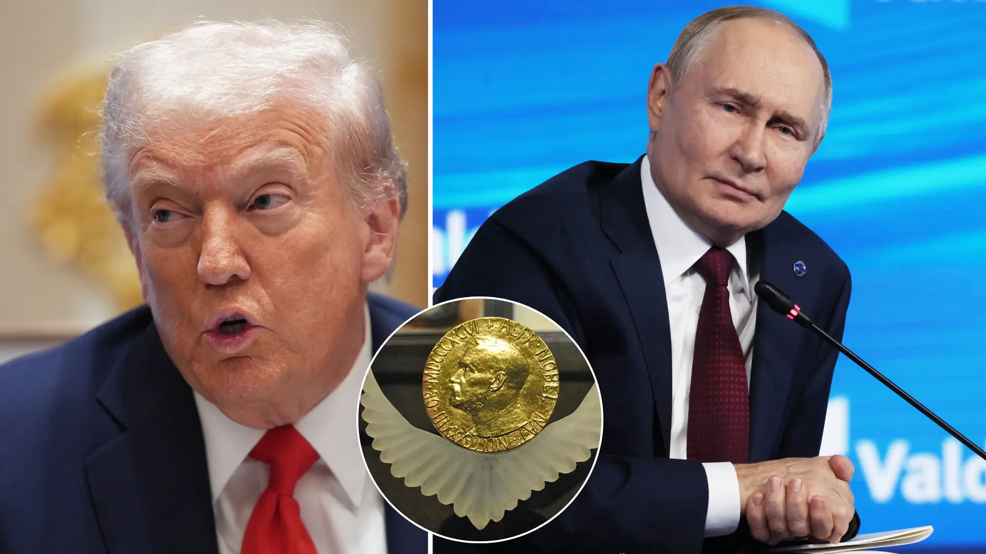 Putin, kritika, Nobelova cena