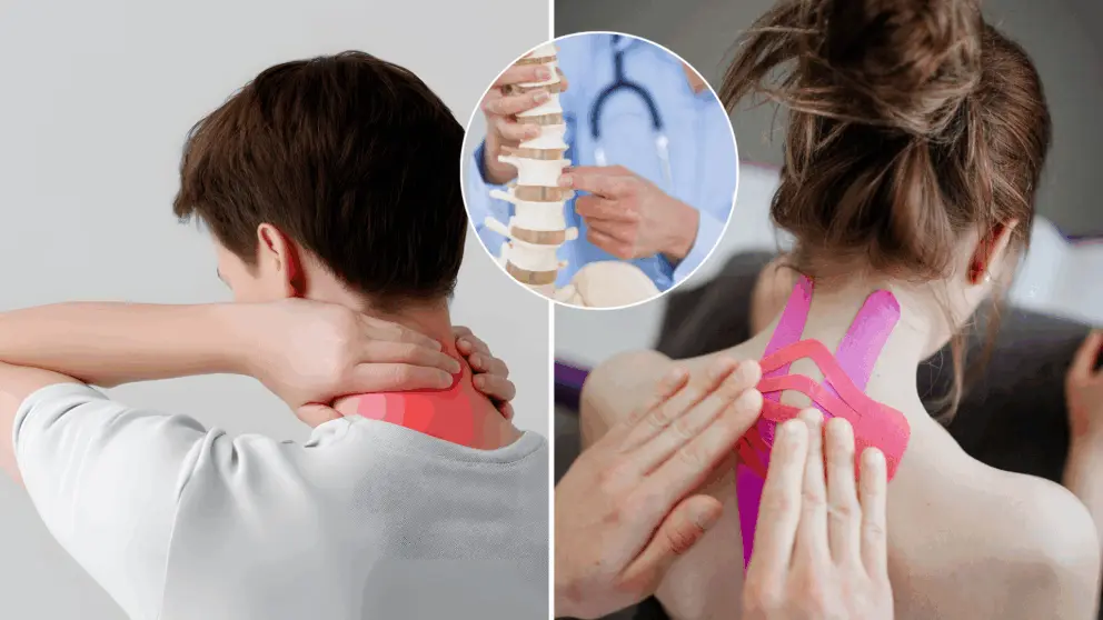 krčná chrbtica, krk