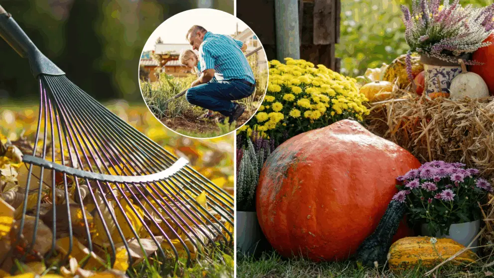 záhrada, jeseň, október, november