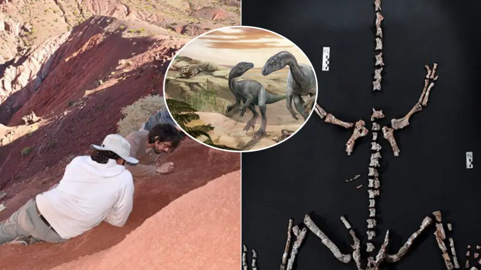 dinosaurus Huayracursor jaguensis