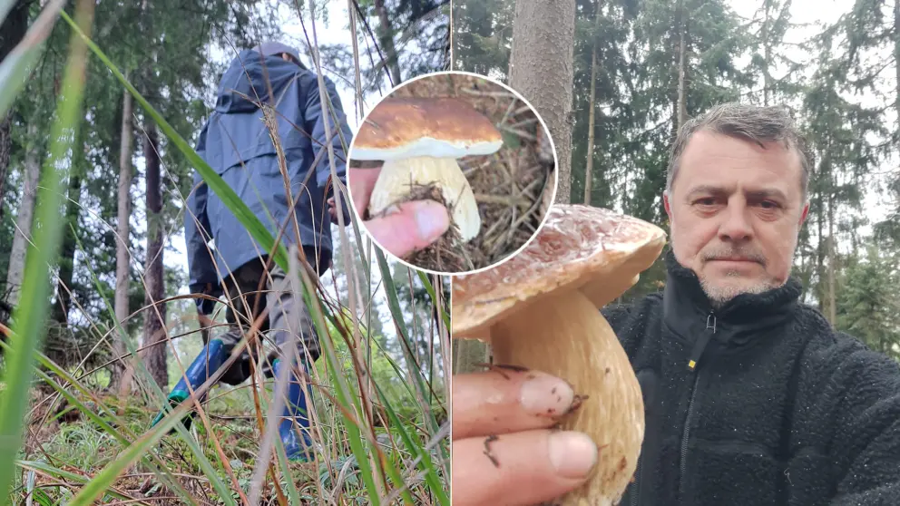 Aleš Brunda hubár video