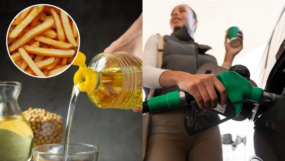 Vodiči v Nemecku budú pravdepodobne už budúci rok môcť tankovať aj naftu vyrobenú zo 100 percent použitých kuchynských olejov.