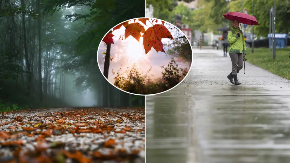 jeseň dážď počasie