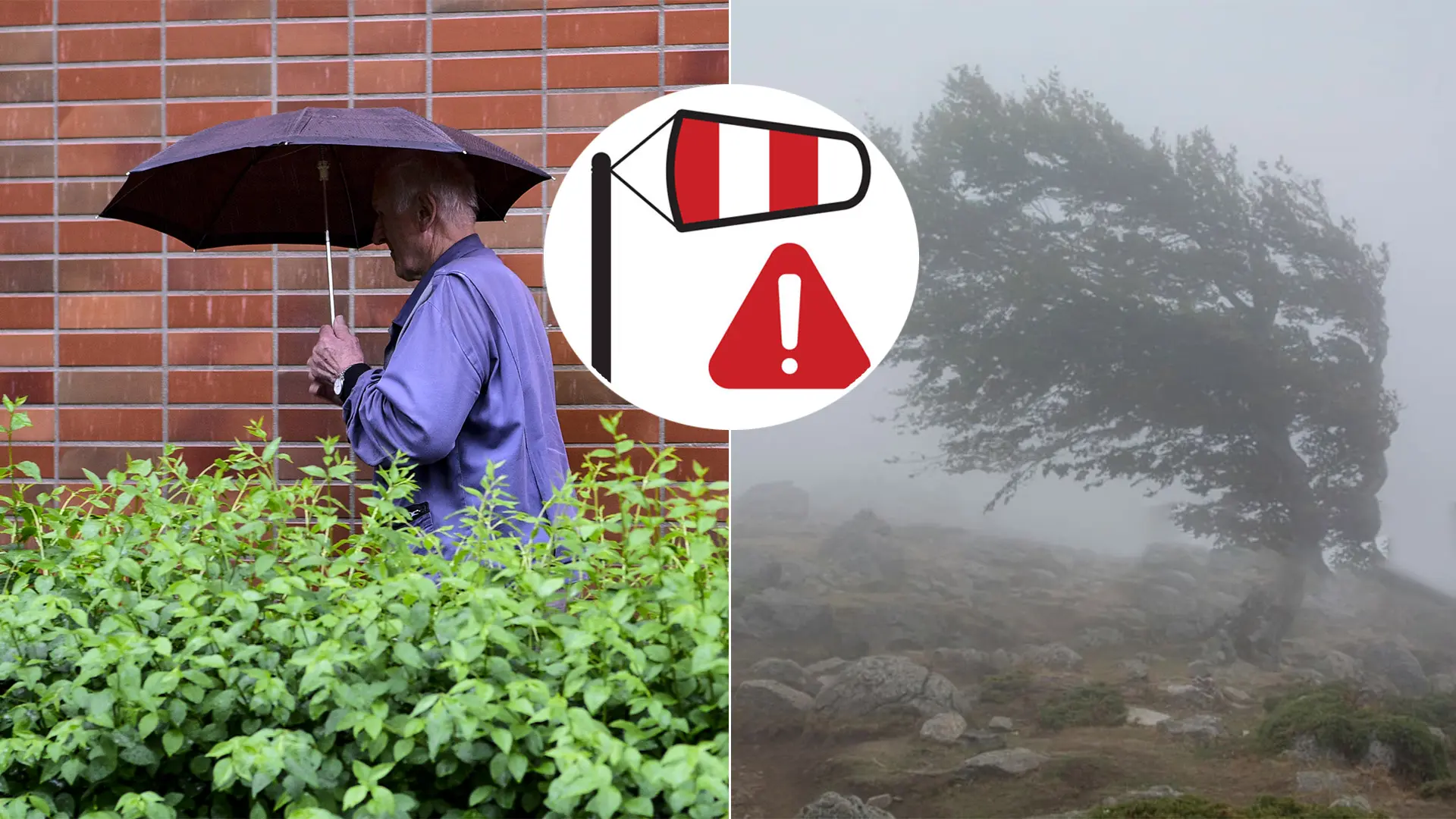 vietor dážď počasie